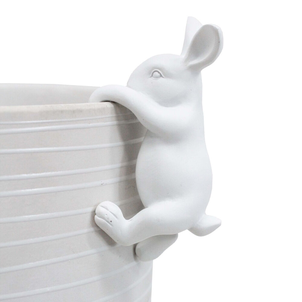 /assets/full/BL7750-12.jpg?20250813130600