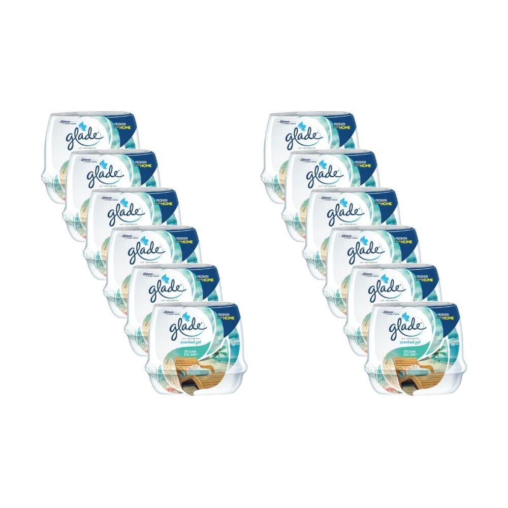 /assets/full/BR012290_12PK.jpg?20251117121737