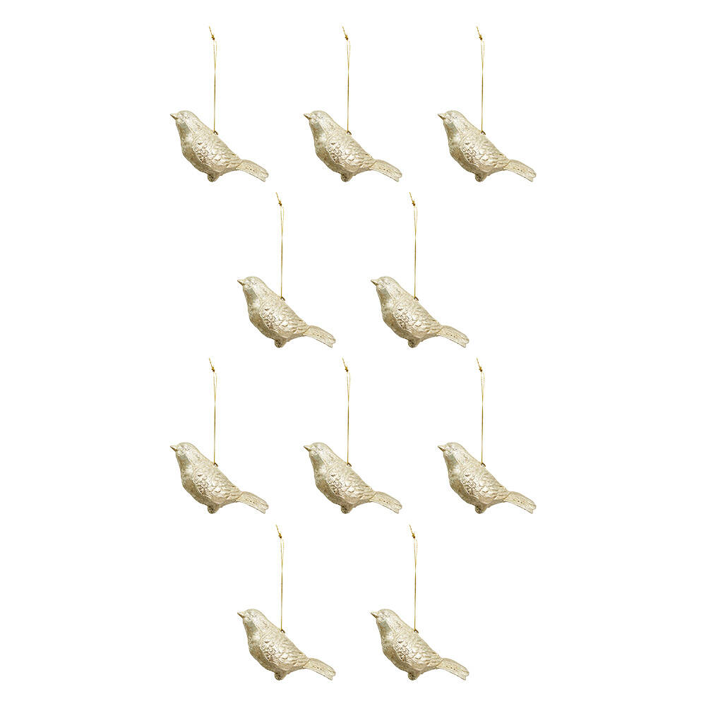 /assets/full/BT1005-10_10PK.jpg?20241213120155