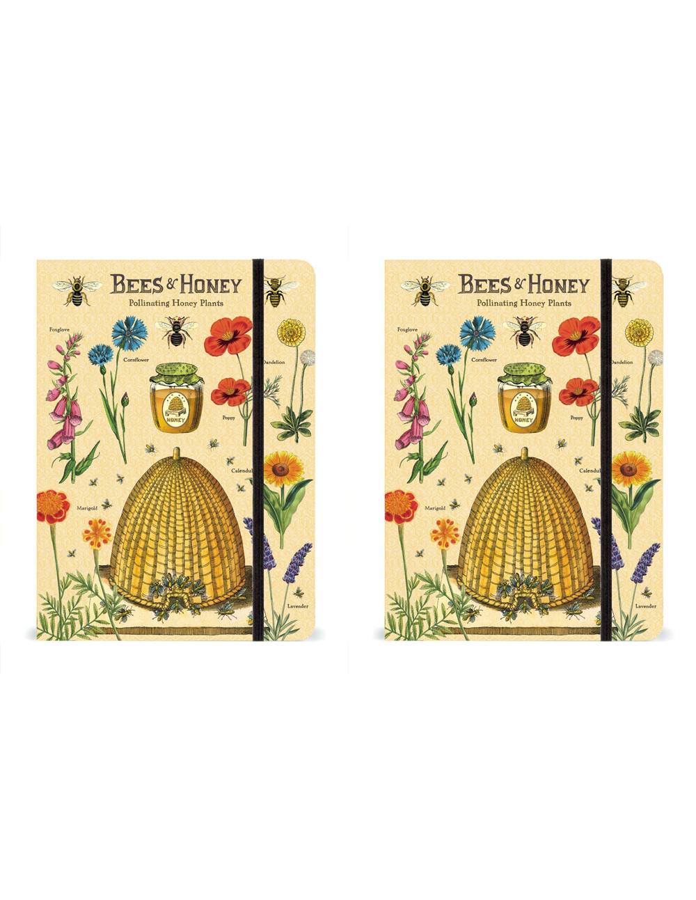 /assets/full/C-NB-BEE_2PK.jpg?20240913150130