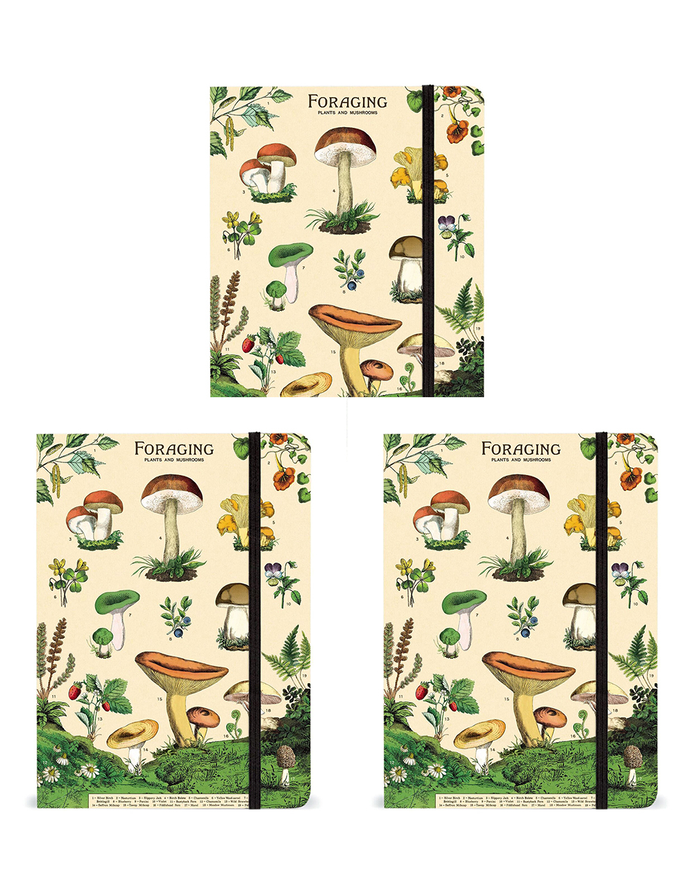 /assets/full/C-NB-FORAGE_3PK.jpg?20240913150115