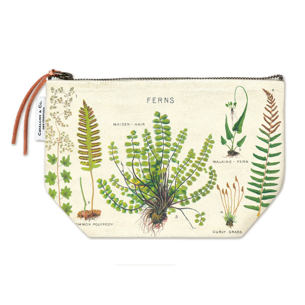 /assets/full/C-POUCH-FERN.jpg?20240917130155