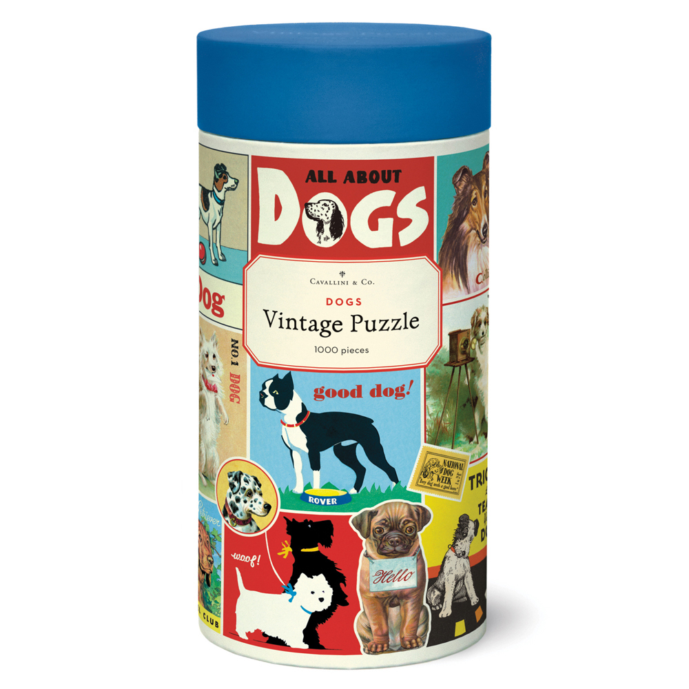 /assets/full/C-PZL-VINDOG.jpg?20240916121929