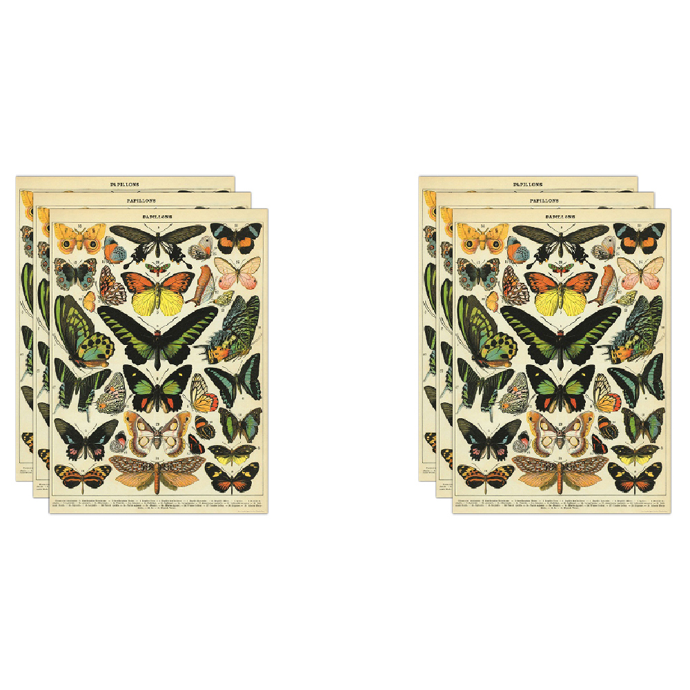 /assets/full/C-WRAP-BTR_6PK.jpg?20240913154630