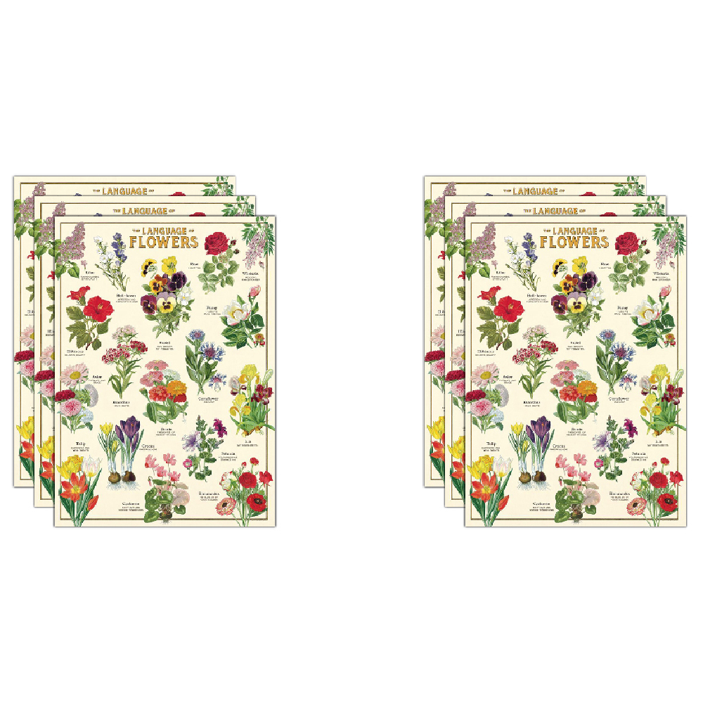 /assets/full/C-WRAP-LNGFLR_6PK.jpg?20240913154505