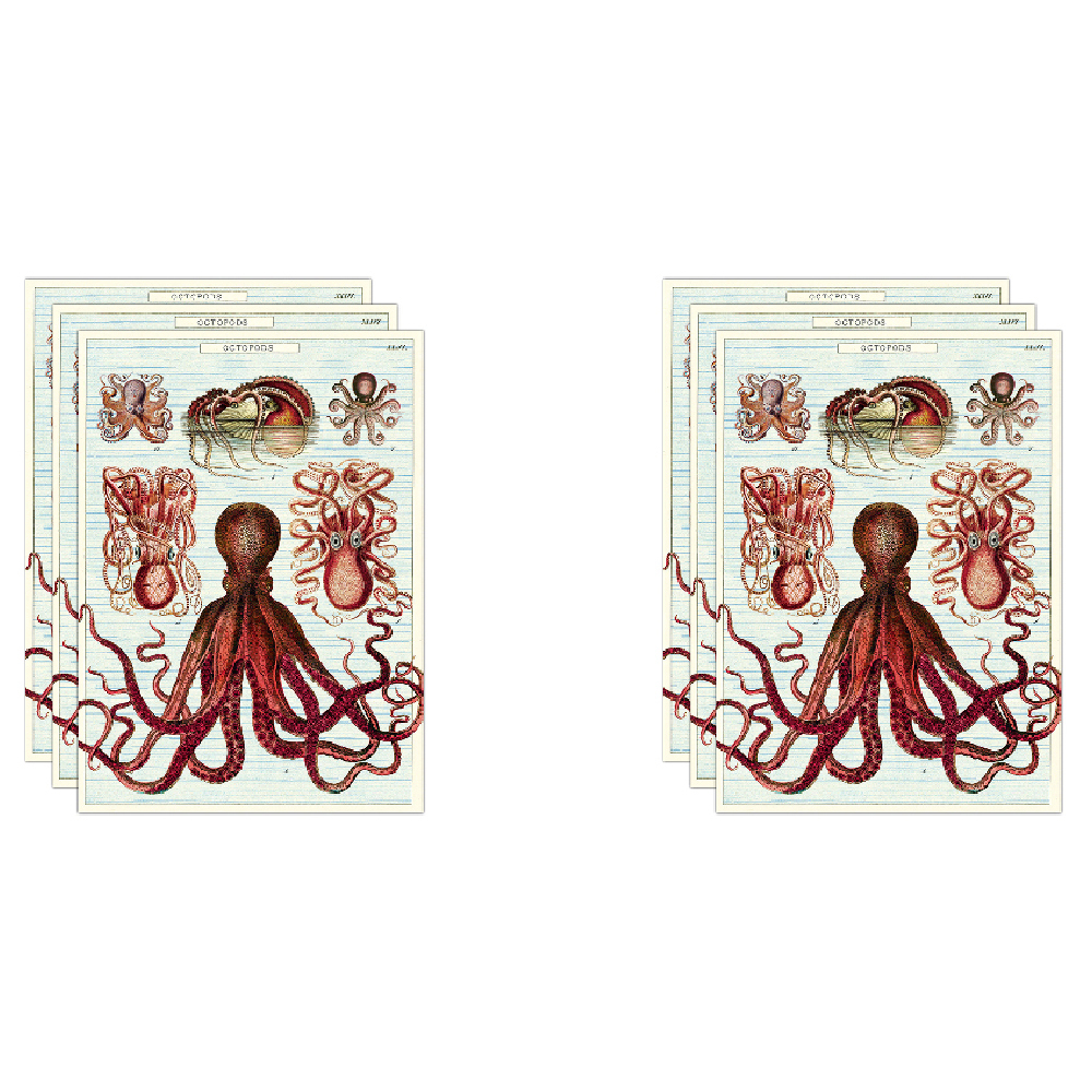 /assets/full/C-WRAP-OCT_6PK.jpg?20240913154622