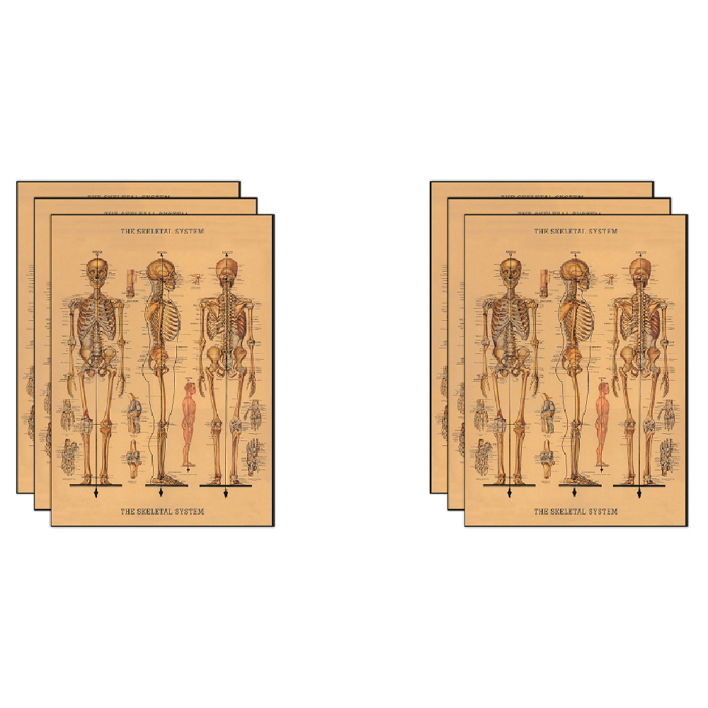 /assets/full/C-WRAP-SKL_6PK.jpg?20240913154536