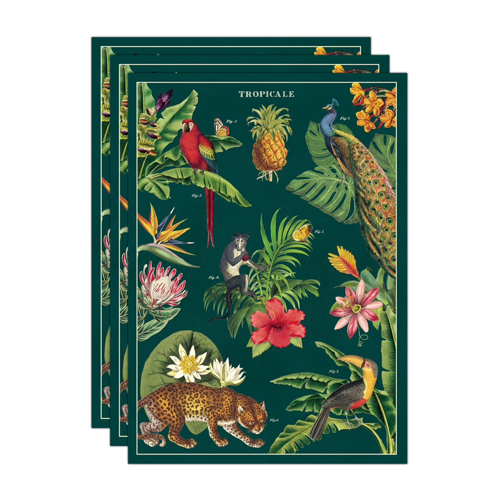 /assets/full/C-WRAP-TROPICAL_3PK.jpg?20240913153052