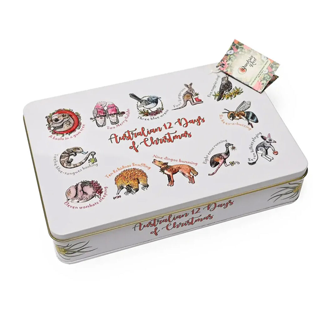 /assets/full/CA-BR-12XM.jpg?20251015160045