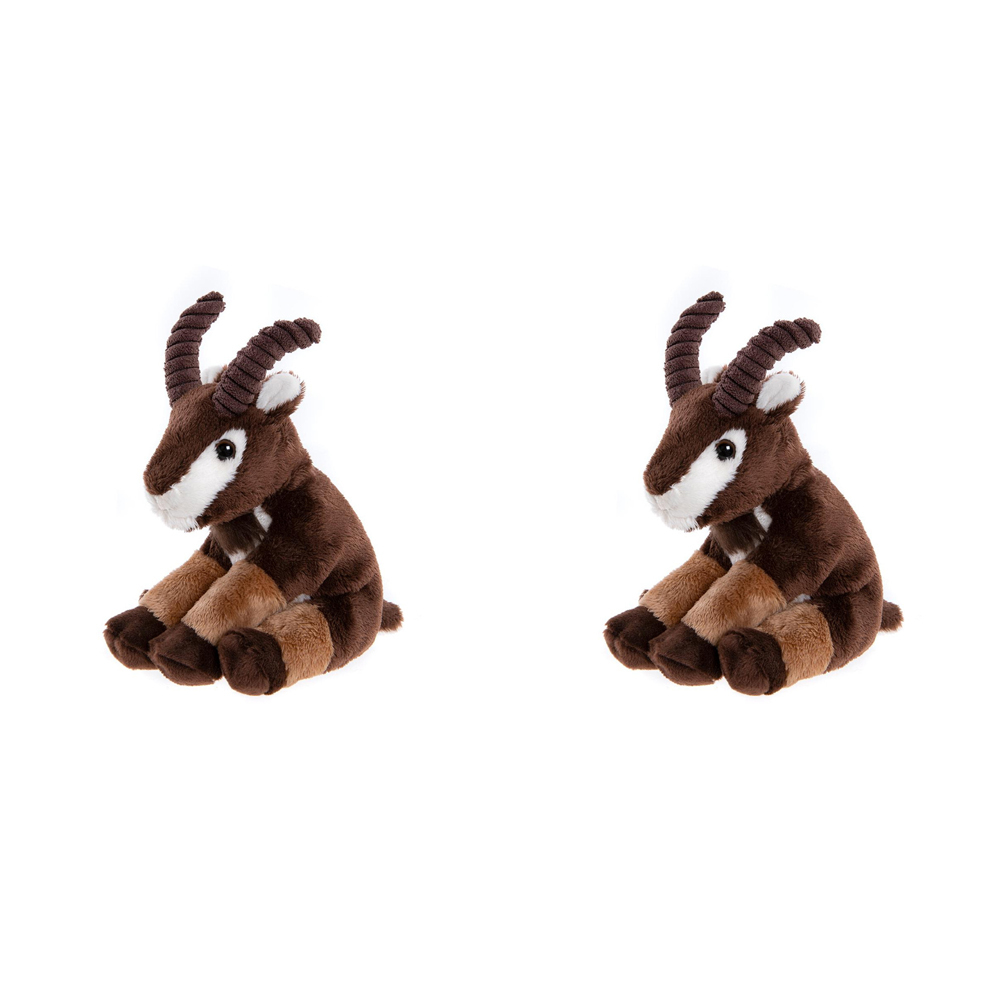 /assets/full/CC23137M_2PK.jpg?20240917120300