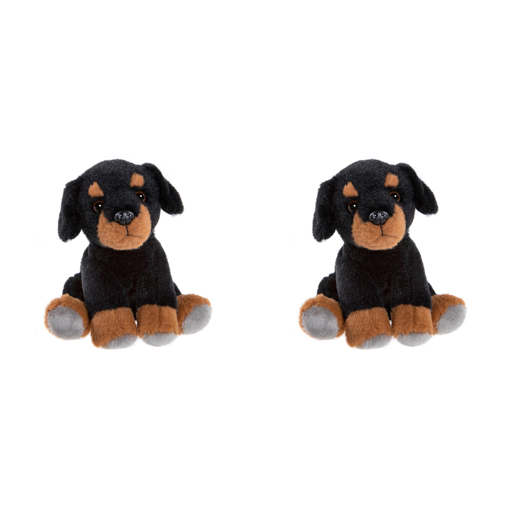 /assets/full/CC23316PA_2PK.jpg?20240917120347