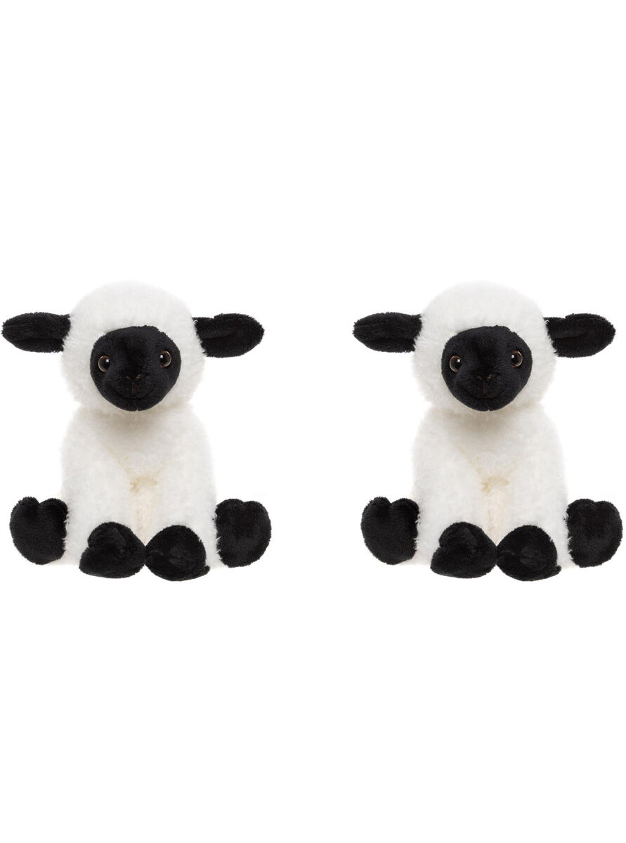 /assets/full/CC25114D_2PK.jpg?20250901085203