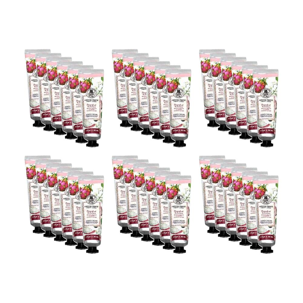 /assets/full/CHW-60229_36PK.jpg?20260113161707