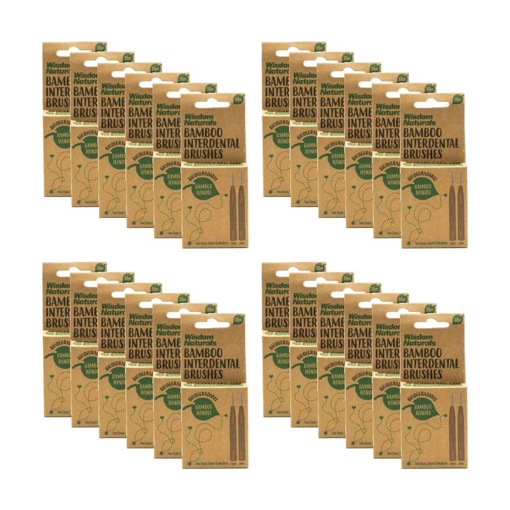 /assets/full/CHW-86009169_24PK.jpg?20260108142008