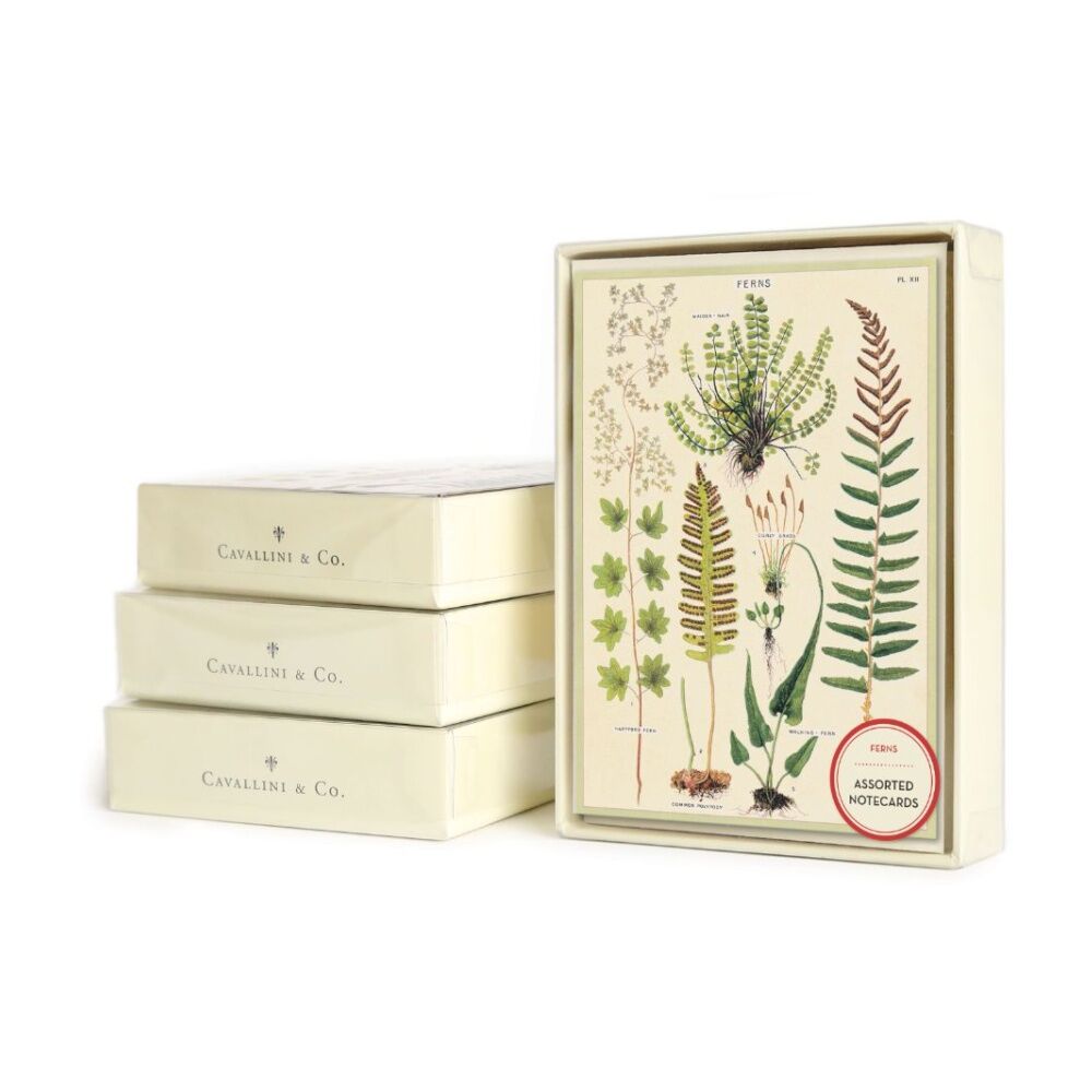 /assets/full/CHW-C-NC-FERN.jpg?20260720103010