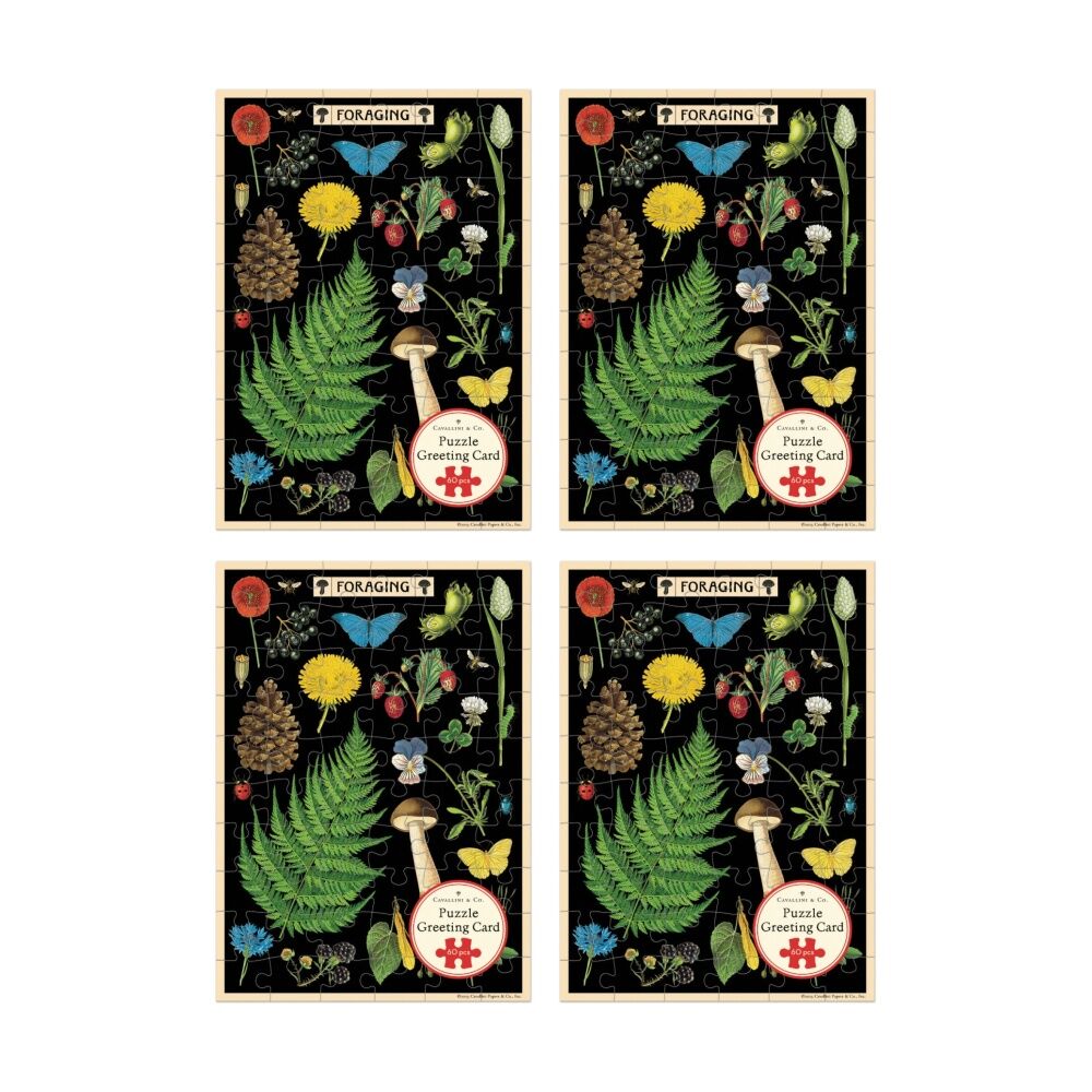 /assets/full/CHW-C-PZLGC-FORAGE_4PK.jpg?20260730103038