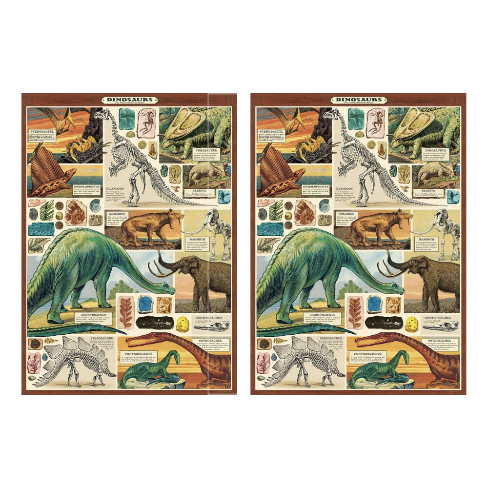 /assets/full/CHW-C-WRAP-DINO2_2PK.jpg?20260720111524
