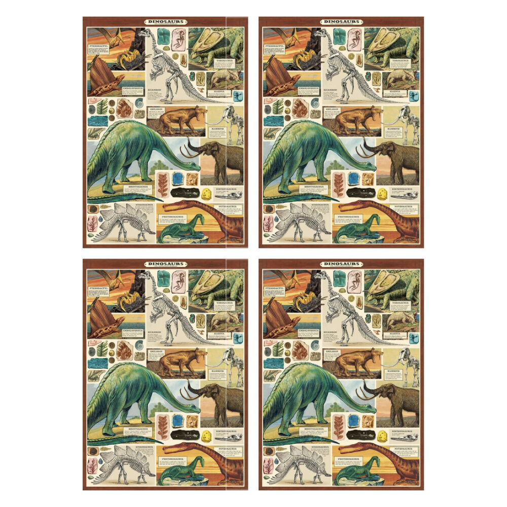 /assets/full/CHW-C-WRAP-DINO2_4PK.jpg?20260720110015