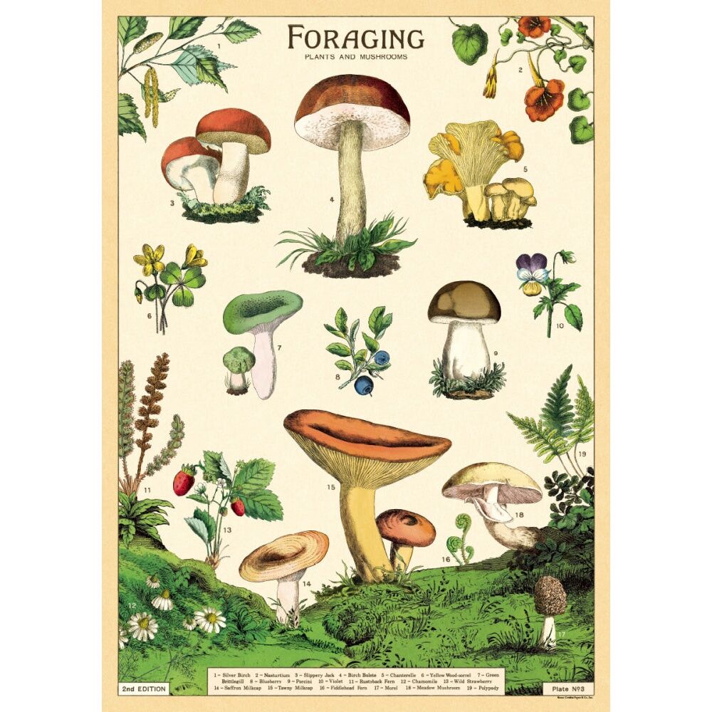 /assets/full/CHW-C-WRAP-FORAGE.jpg?20260720104517