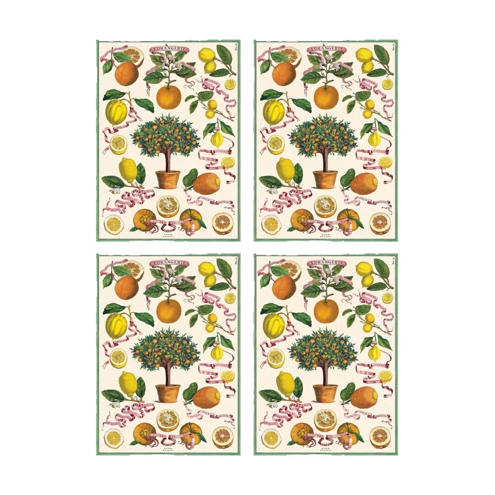 /assets/full/CHW-C-WRAP-ORANGERIE_4PK.jpg?20260720110026