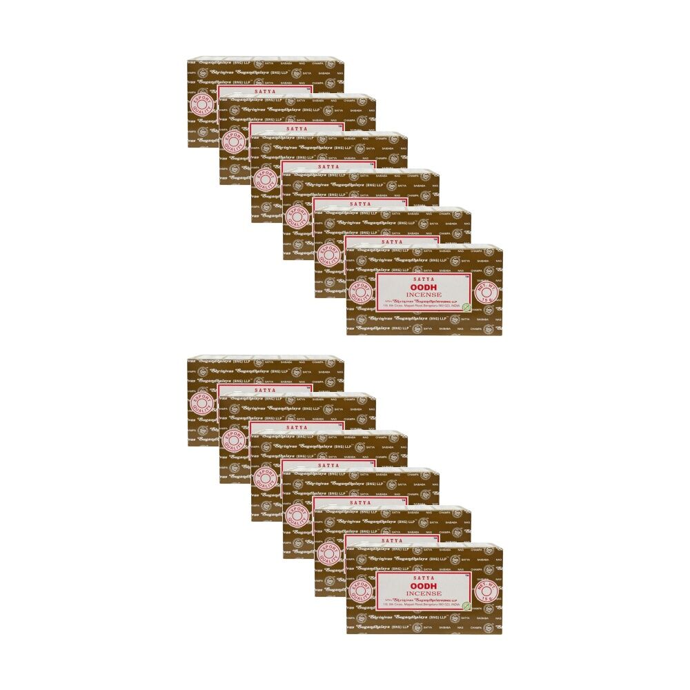 /assets/full/CHW-CA401375_12PK.jpg?20260123190106