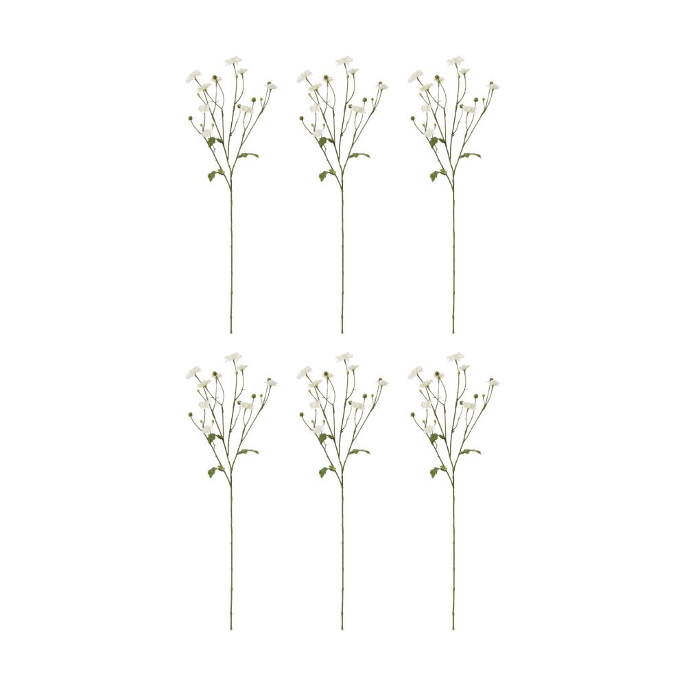 /assets/full/CHW-FS.006.WH_6PK.jpg?20260723110032