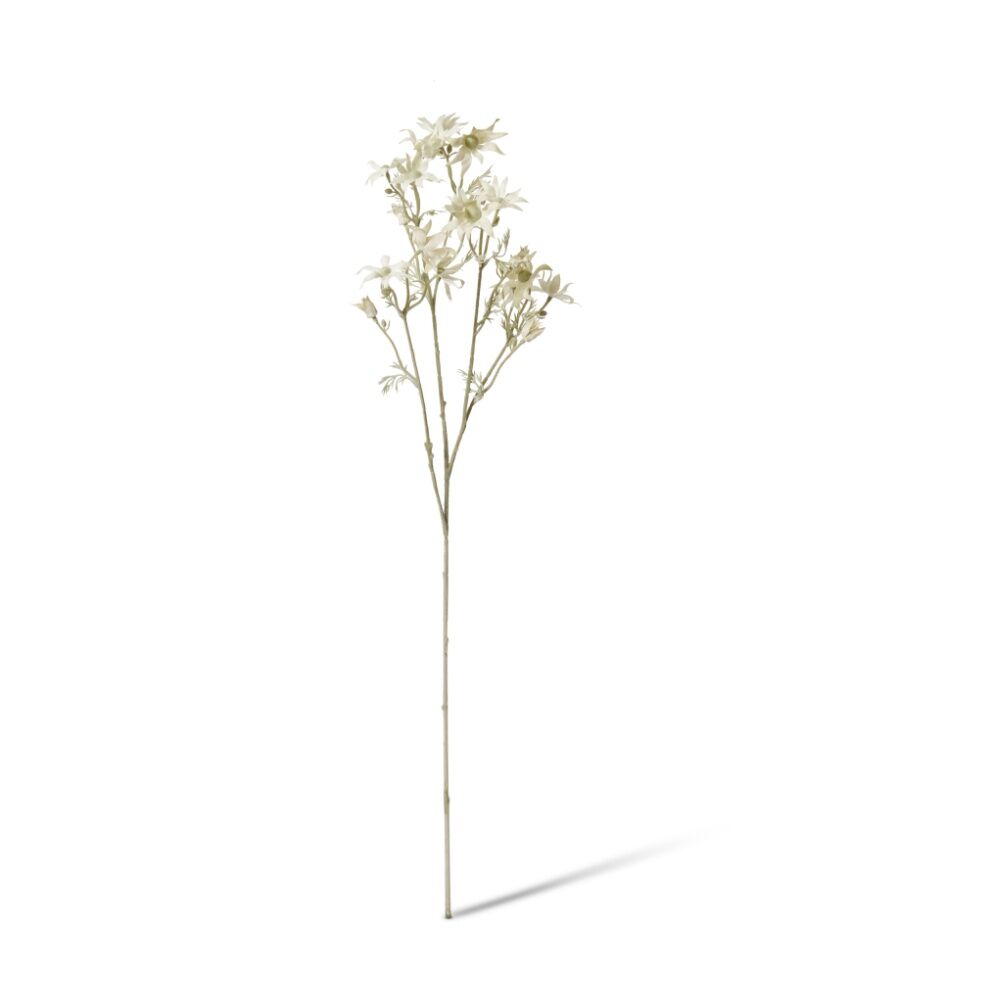 /assets/full/CHW-FS.086.WH.jpg?20260723100205
