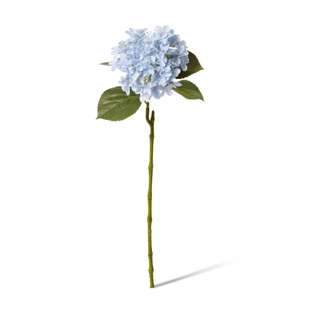 /assets/full/CHW-FS.092.LTBL.jpg?20260723100223