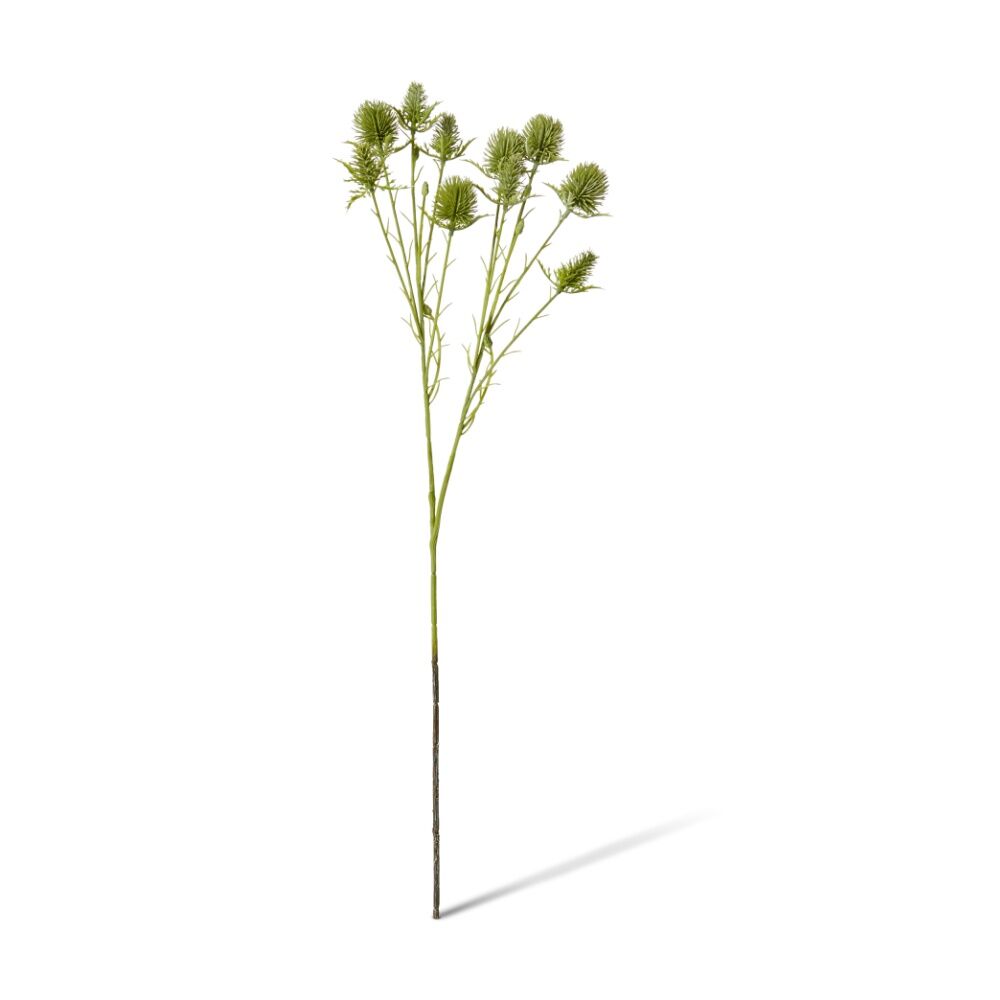 /assets/full/CHW-FS.112.GN.jpg?20260723101533
