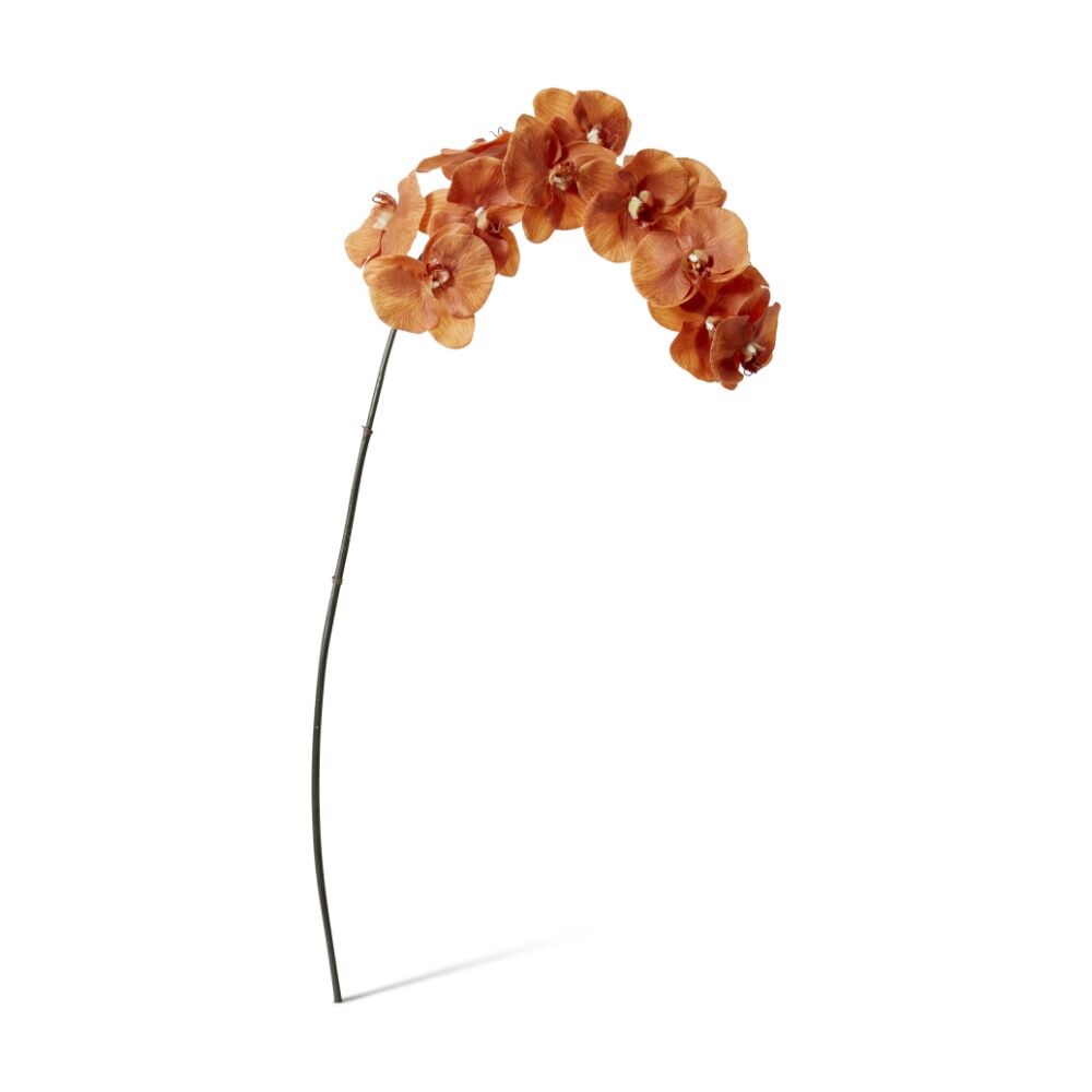 /assets/full/CHW-FS.125.RU.jpg?20260723101611