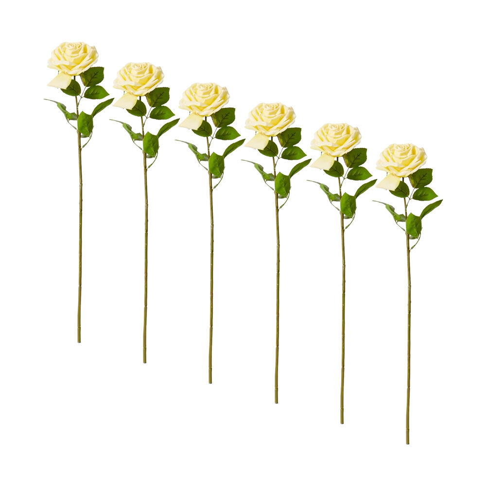 /assets/full/CHW-FS.131.YW_6PK.jpg?20260723104948