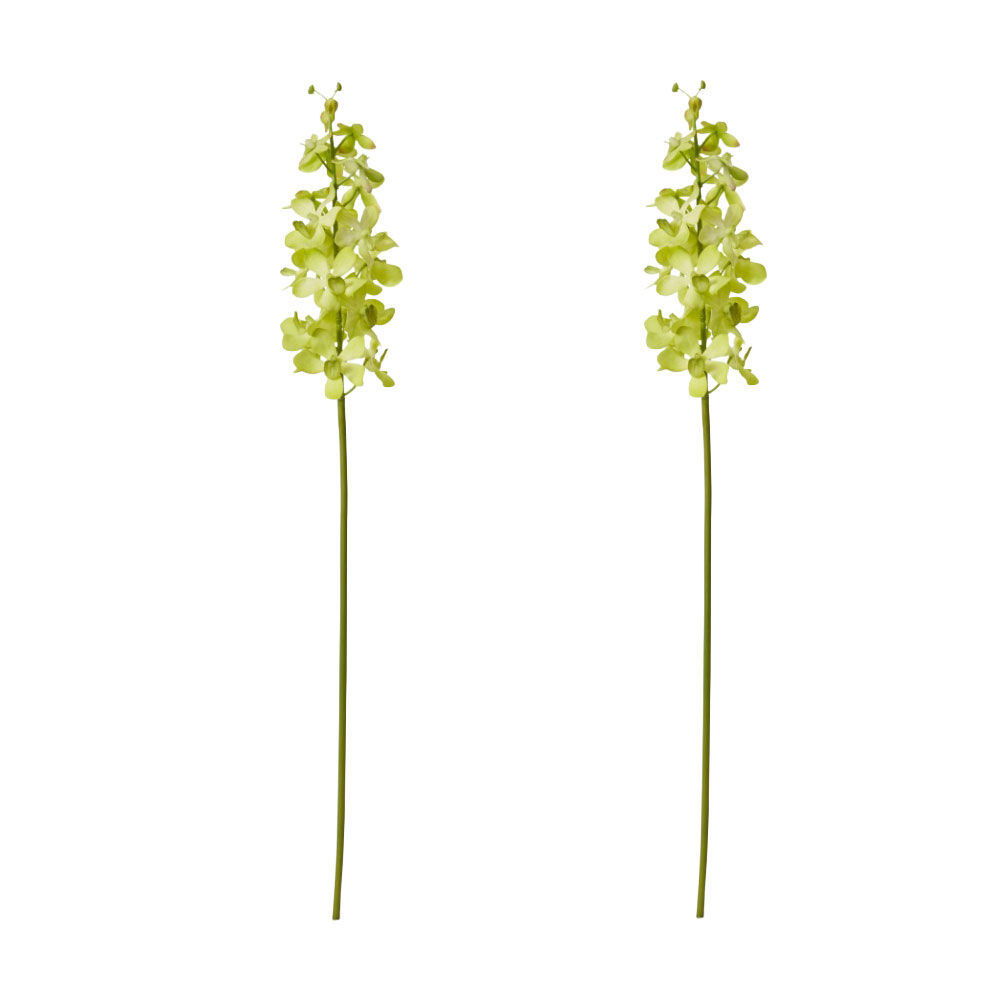 /assets/full/CHW-FS.156.GN_2PK.jpg?20260723103127