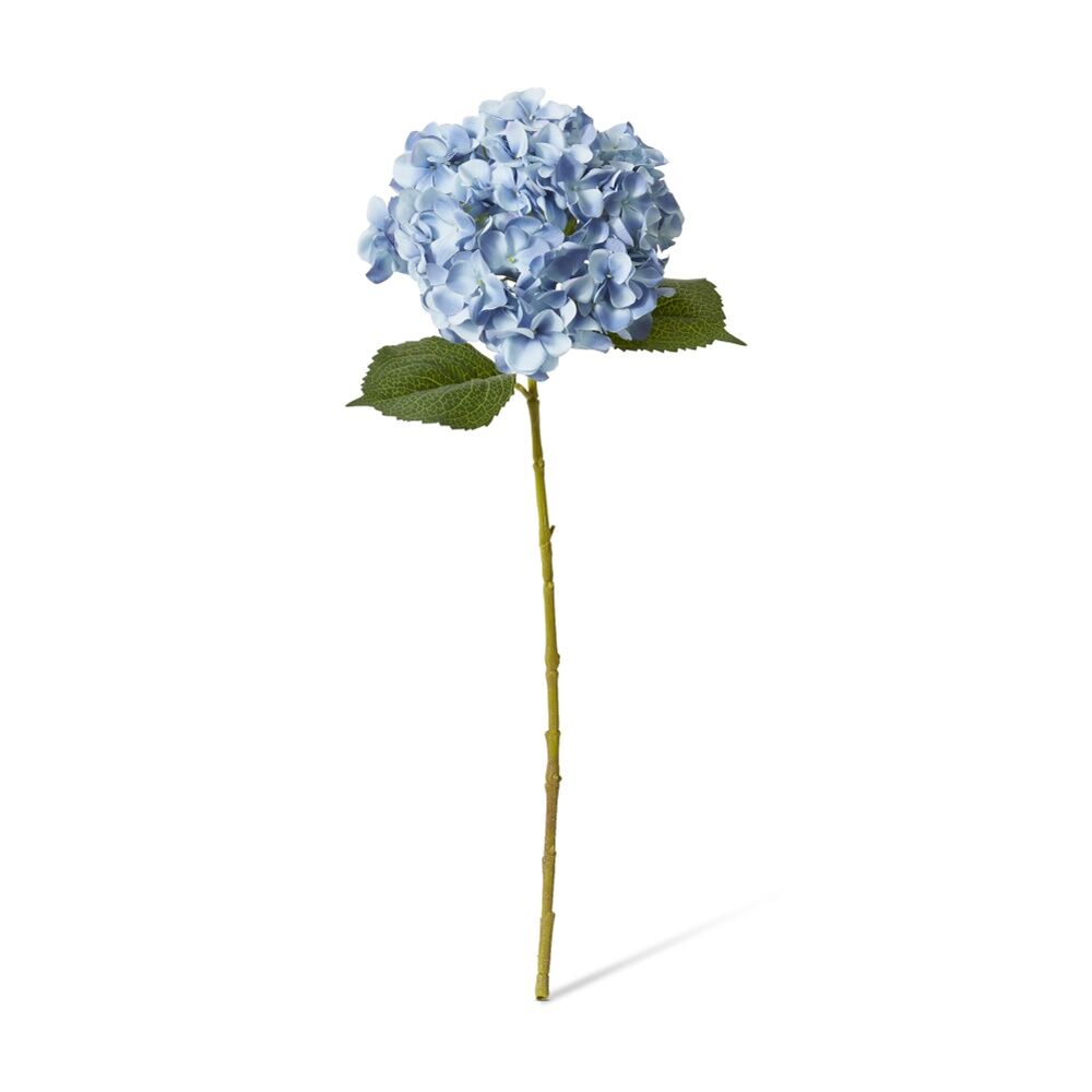 /assets/full/CHW-FS.160.BL.jpg?20260723101807