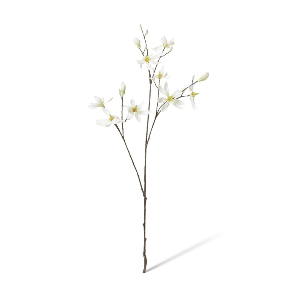 /assets/full/CHW-FS.167.WH.jpg?20260723101820