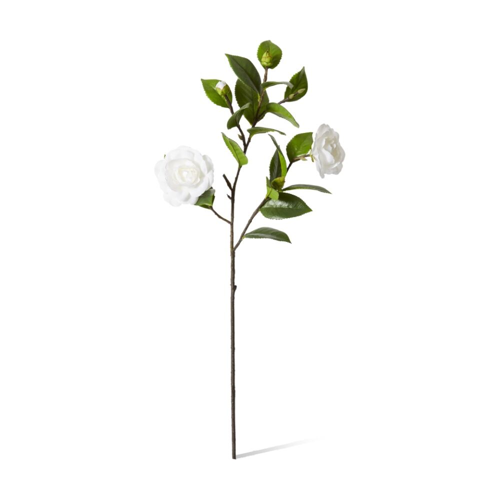 /assets/full/CHW-FS.177.WH.jpg?20260723101848