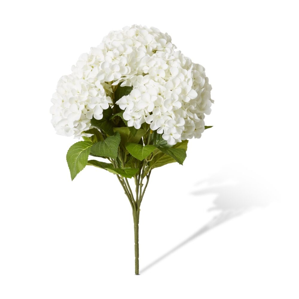 /assets/full/CHW-FS.186.WH.jpg?20260723101915
