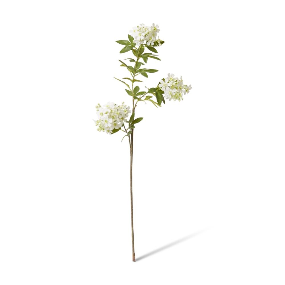 /assets/full/CHW-FS.188.WH.jpg?20260723101919