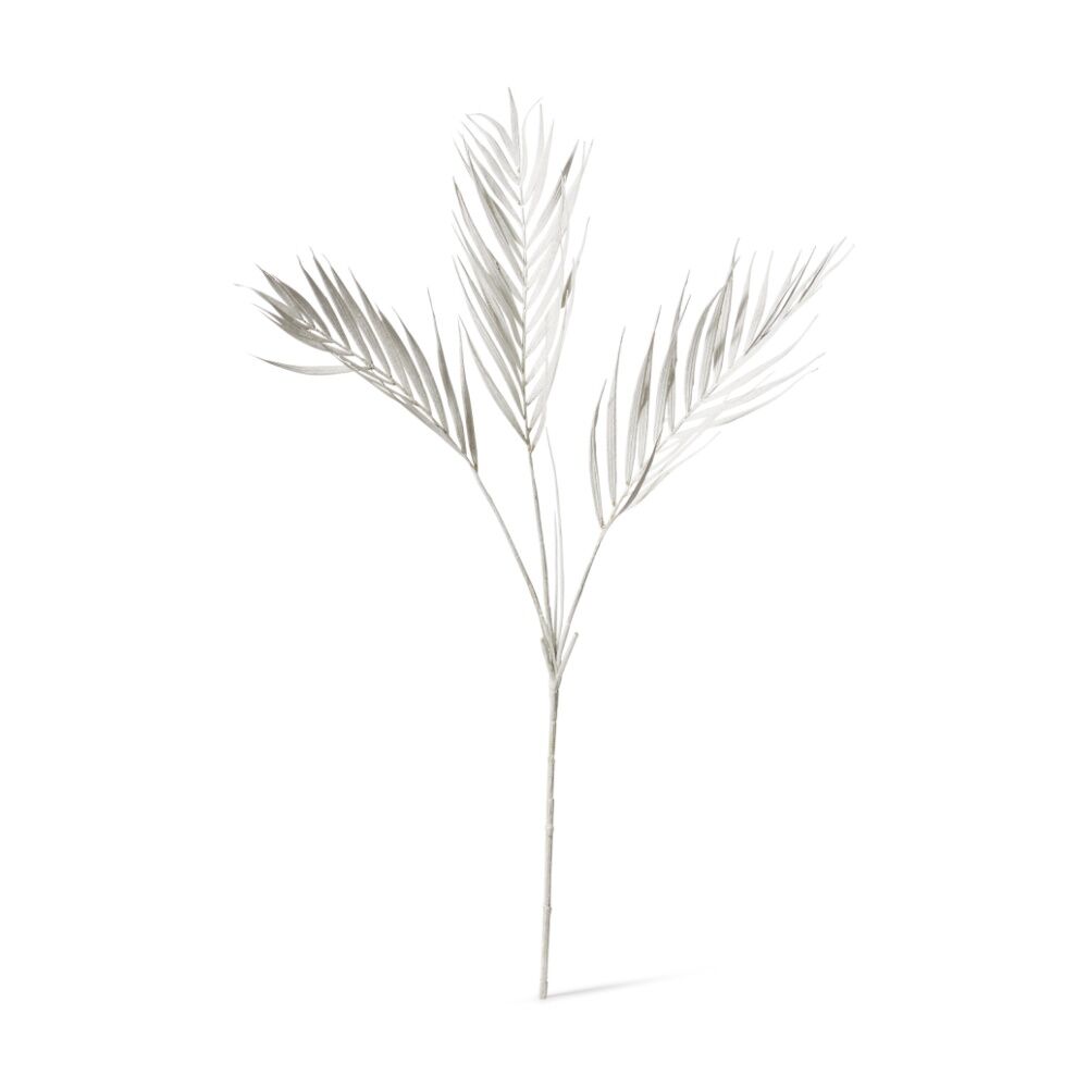 /assets/full/CHW-GS.034.WH.jpg?20260729100109