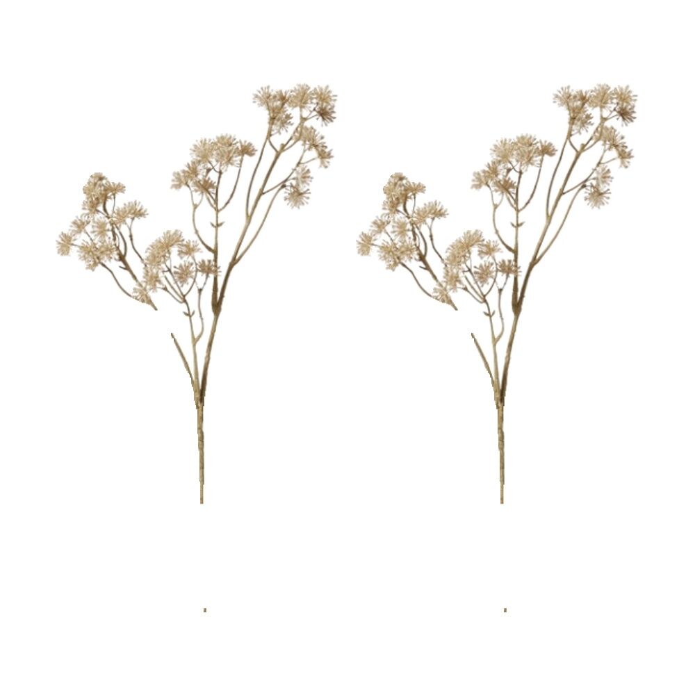 /assets/full/CHW-GS.037.BE_2PK.jpg?20260729103028