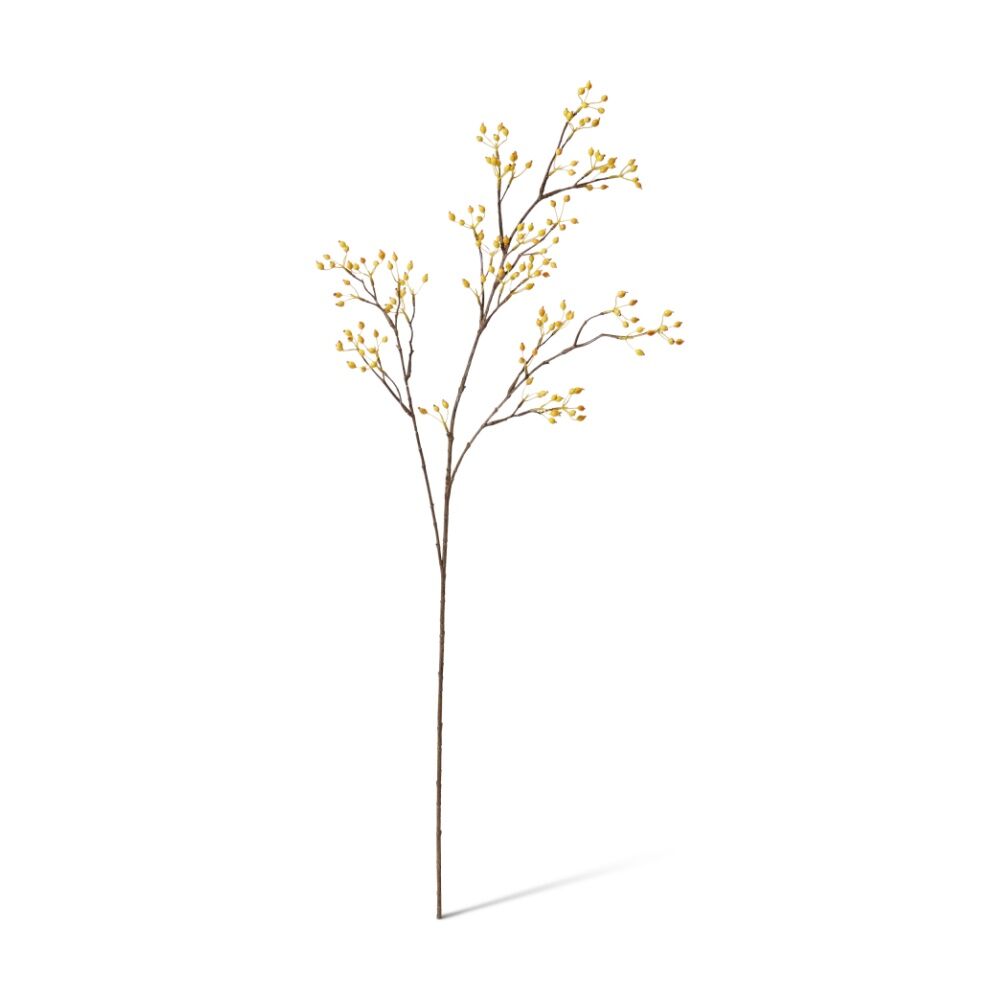 /assets/full/CHW-GS.179.YW.jpg?20260729101533