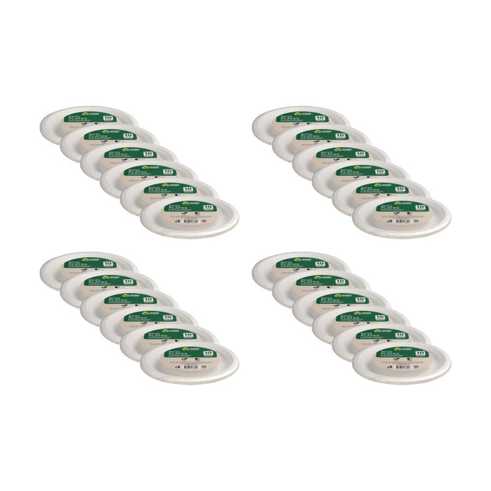 /assets/full/CHW-KI133580_24PK.jpg?20260106161949