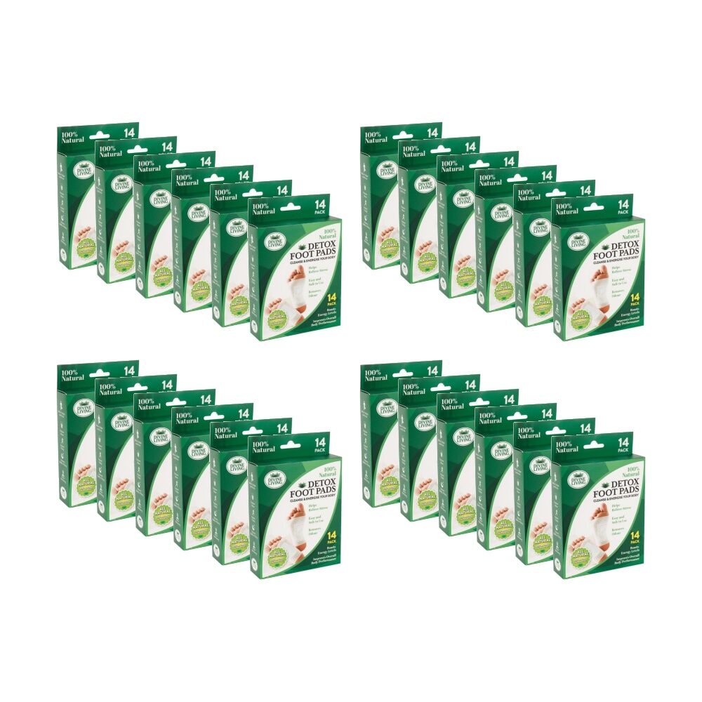 /assets/full/CHW-PC085032_24PK.jpg?20260113123503