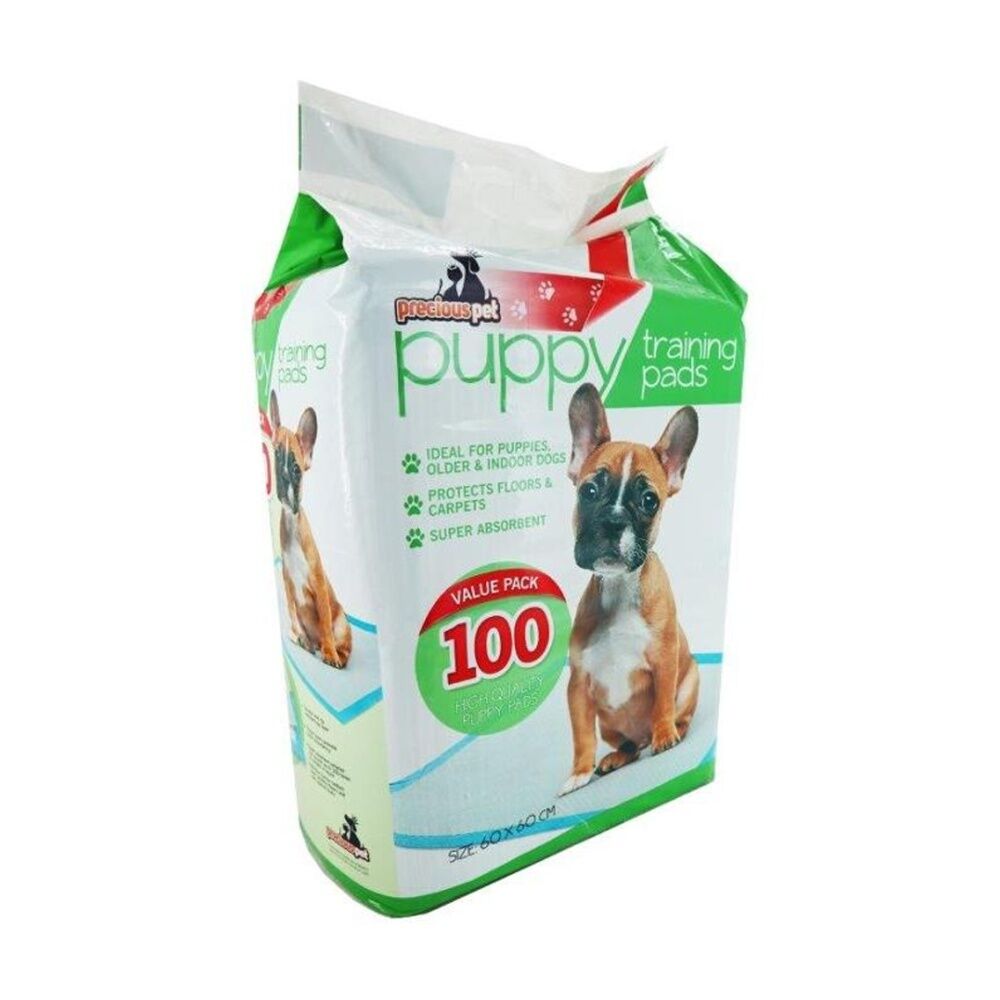 /assets/full/CHW-PE012908.jpg?20260123181826