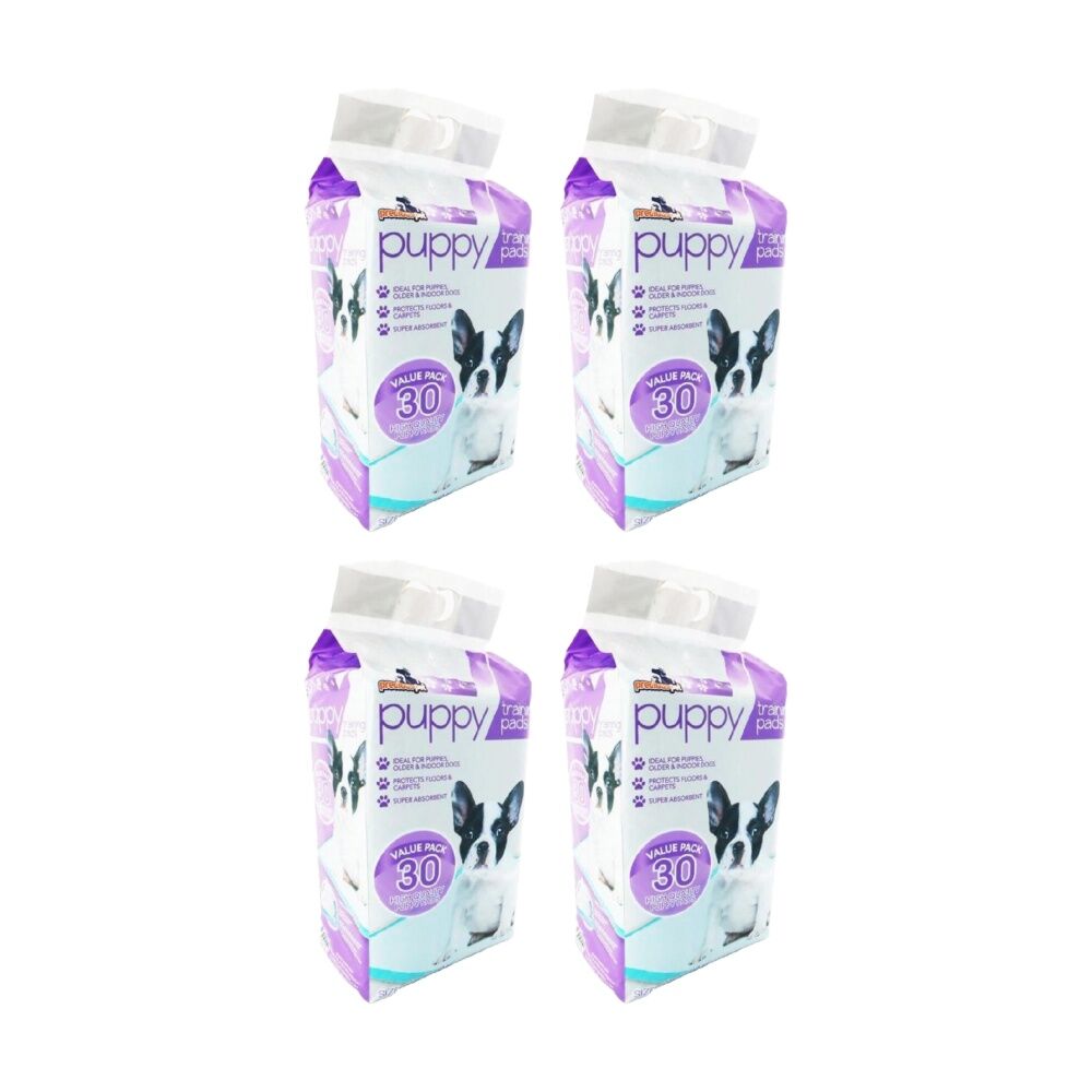 /assets/full/CHW-PE045951_4PK.jpg?20260123184822