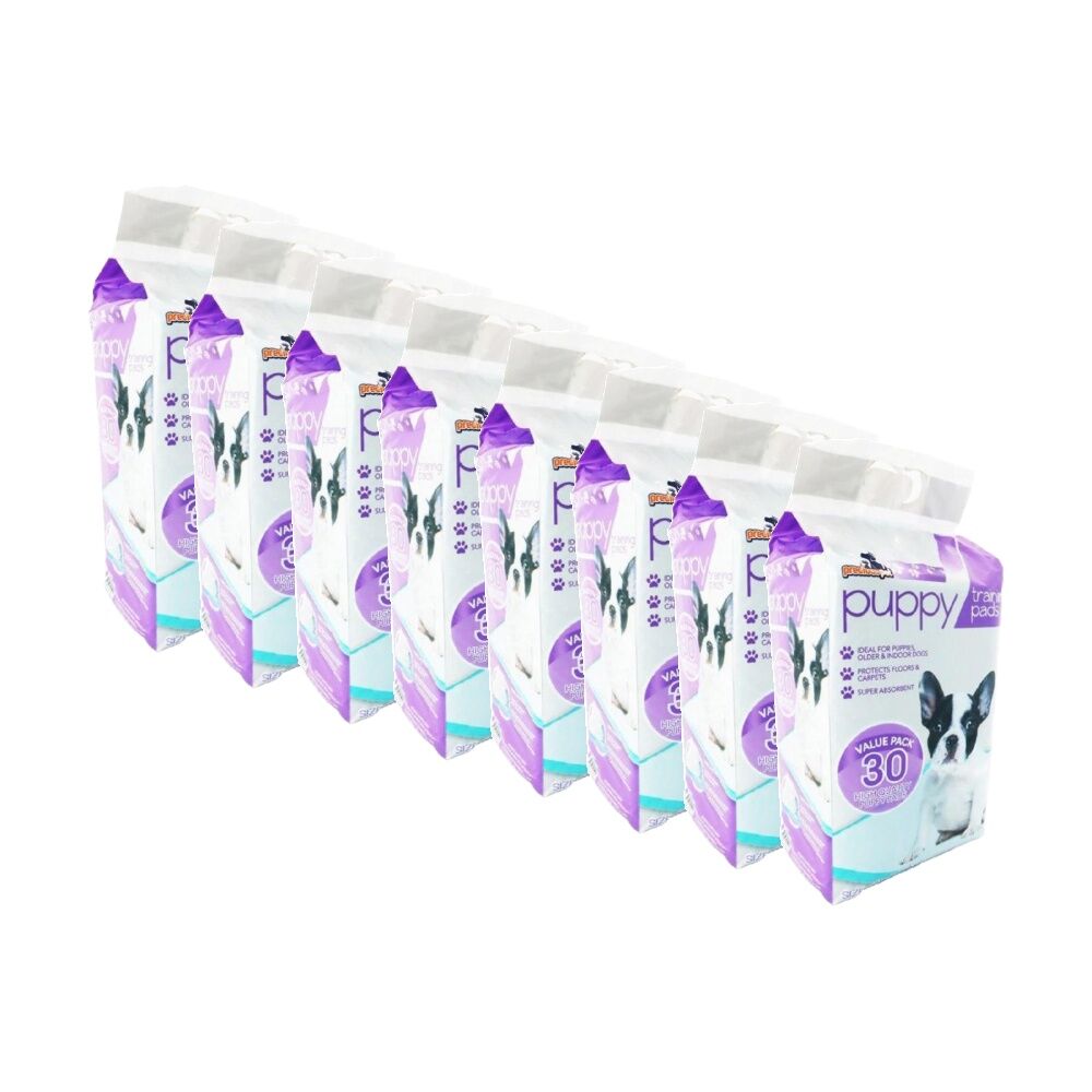 /assets/full/CHW-PE045951_8PK.jpg?20260123184521