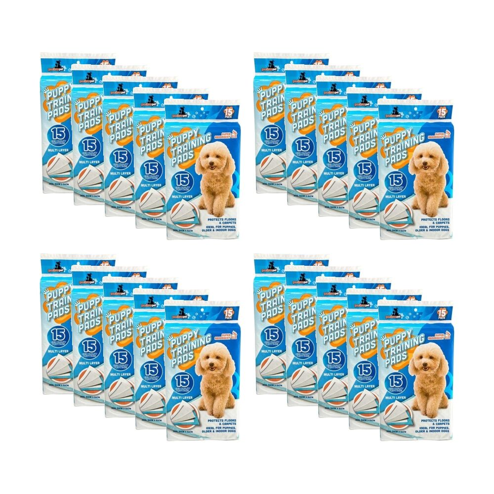 /assets/full/CHW-PE100100_20PK.jpg?20260123184518