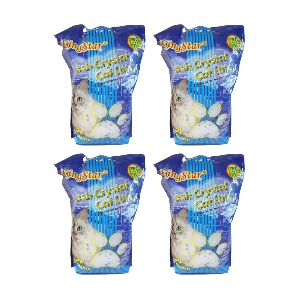 /assets/full/CHW-PE288025_4PK.jpg?20260123184819