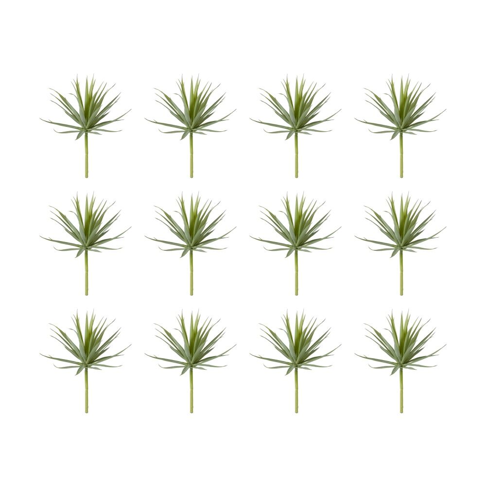 /assets/full/CHW-PL.018.GYGN_12PK.jpg?20260728103038