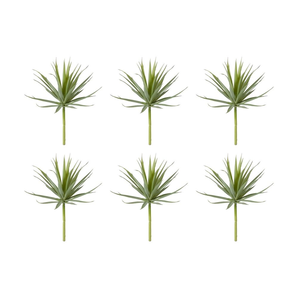 /assets/full/CHW-PL.018.GYGN_6PK.jpg?20260728103040