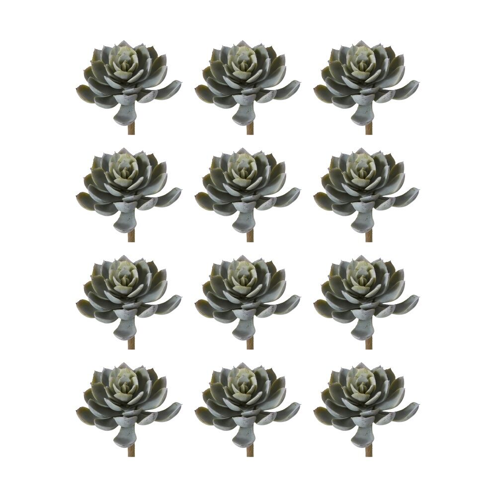 /assets/full/CHW-PL.025.GN_12PK.jpg?20260728103057